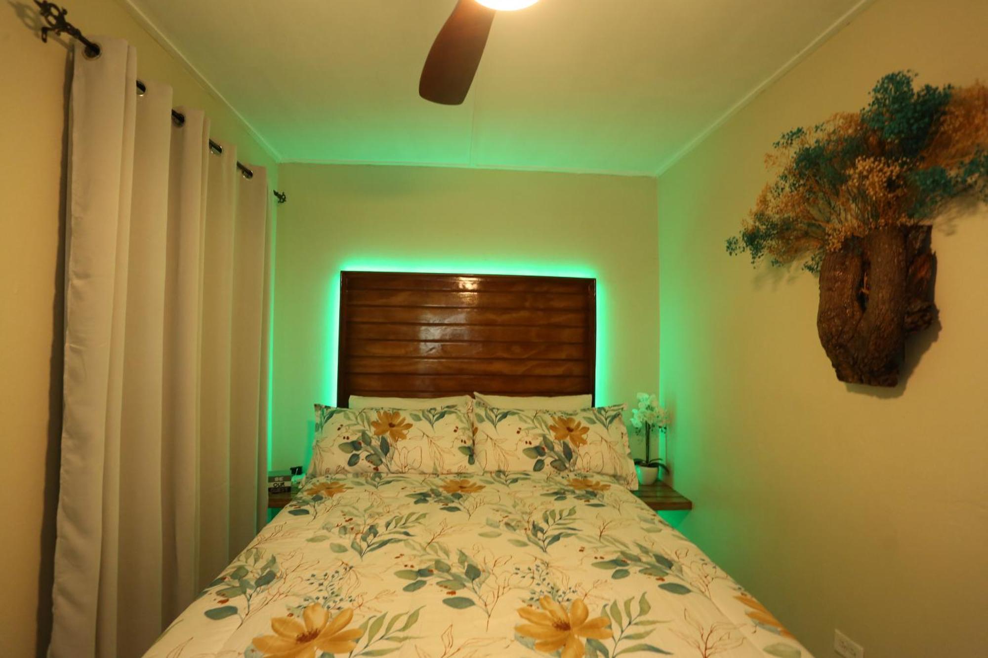 Apartament Hidden Gem Kingston Zewnętrze zdjęcie